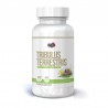 Tribulus Terrestris 1000mg 45 Capsule Pure Nutrition USA Tribulus Terrestris Beneficii: creste in mod natural nivelul de tes-tos